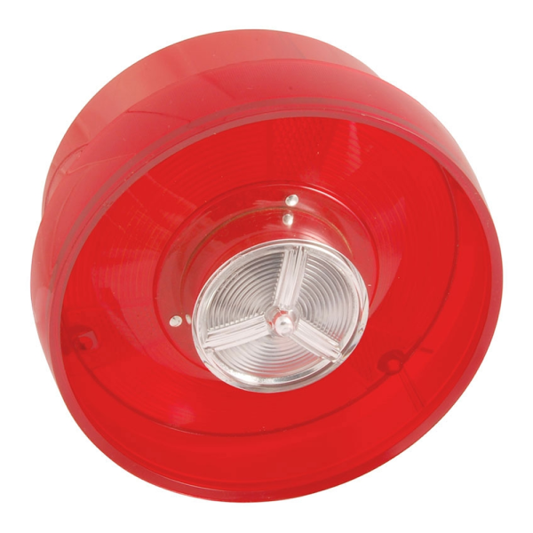 Dennis Carpenter - Taillight Lens With FoMoCo Script