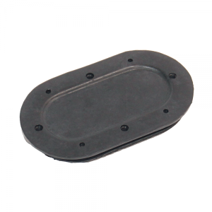 FM Access Plug