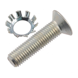 Door Striker Plate Bolt with Washer