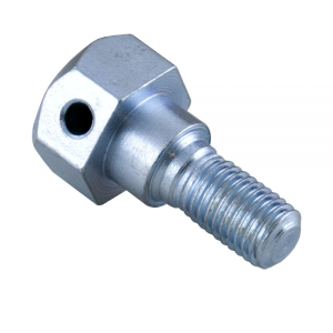 Hood Hinge Bolt