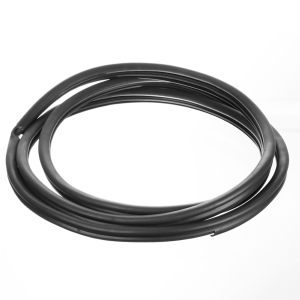 Door Seal - Rear Passenger (RH) Side