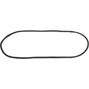 Buick Cadillac Windshield Seal
