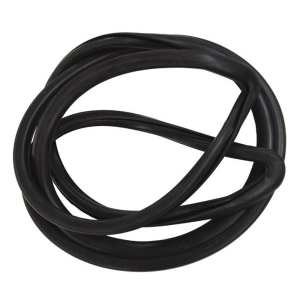 Windshield Seal