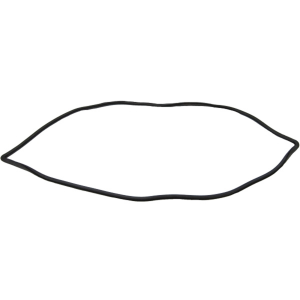 1957 1958 Cadillac Eldroado Windshield Seal