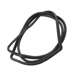 Windshield Seal