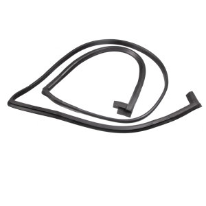Body Side OR Rear Door Seal - LH