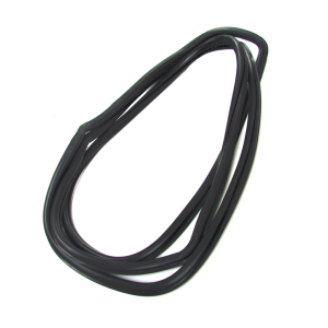 Windshield Seal