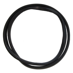 Back Window Seal