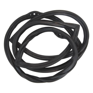 Windshield Seal
