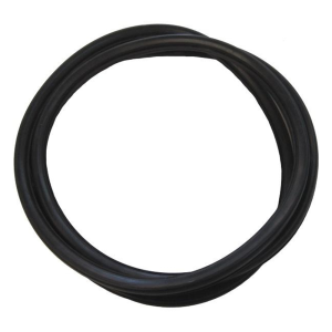 Back Window Seal