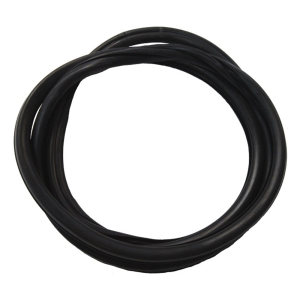 Windshield Seal