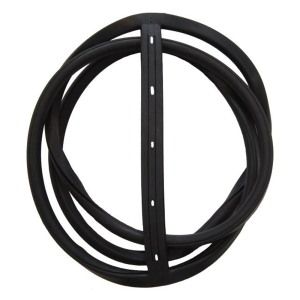 Windshield Seal