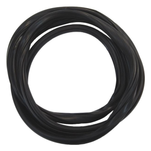 Windshield Seal