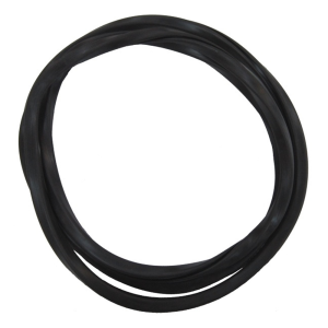 Windshield Seal