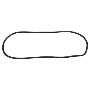 10-168W - 1955-59 Chevy GMC Windshield Seal Gasket