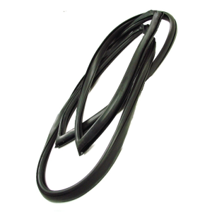 Windshield Seal