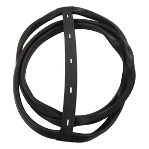 Windshield Seal