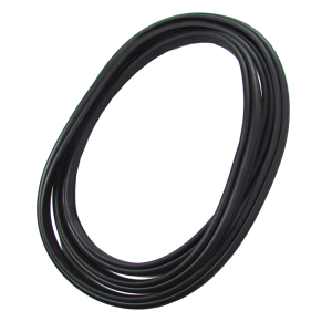 Windshield Seal