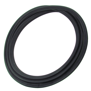 Windshield Seal