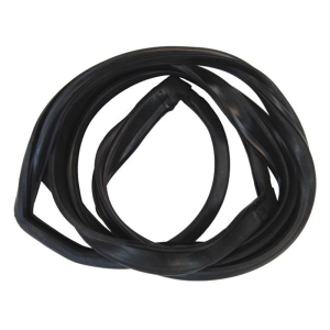 Windshield Seal
