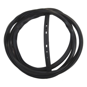 Windshield Seal