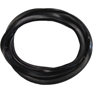 Windshield Seal