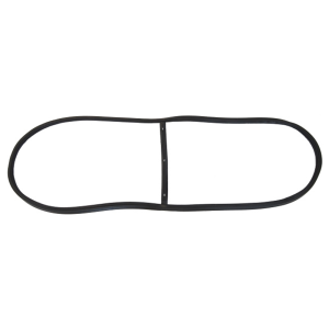 Windshield Seal