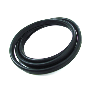 Back Window Seal