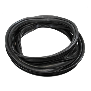 Windshield Seal