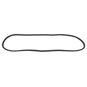 Windshield Seal - With Trim Groove