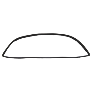 Back Window Seal