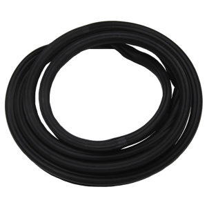 Windshield Seal