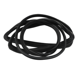 Windshield Seal