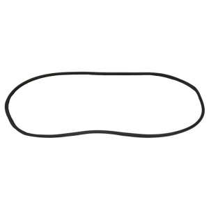 Windshield Seal