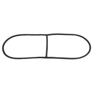 Windshield Seal