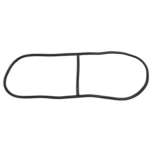 Windshield Seal