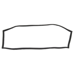 Windshield Seal