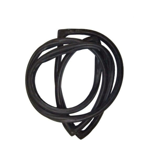 Windshield Seal