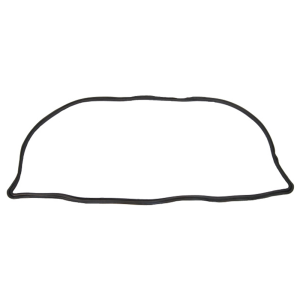 Back Window Seal