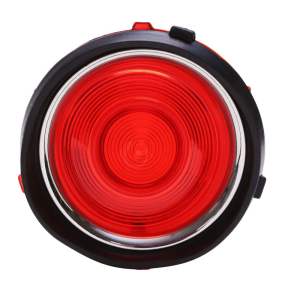 Taillight Lens Assembly - Driver Side