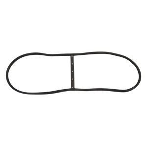 Windshield Seal