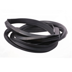 Windshield Seal