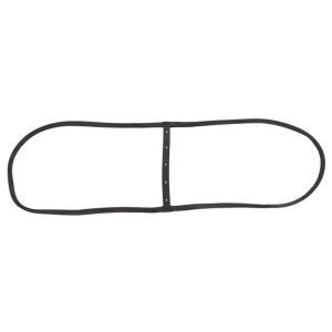 Windshield Seal